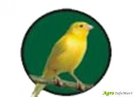 Canary Agro Chemicals Private Limited
